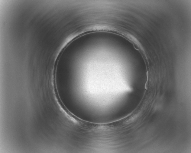 X0000065970847200603031126