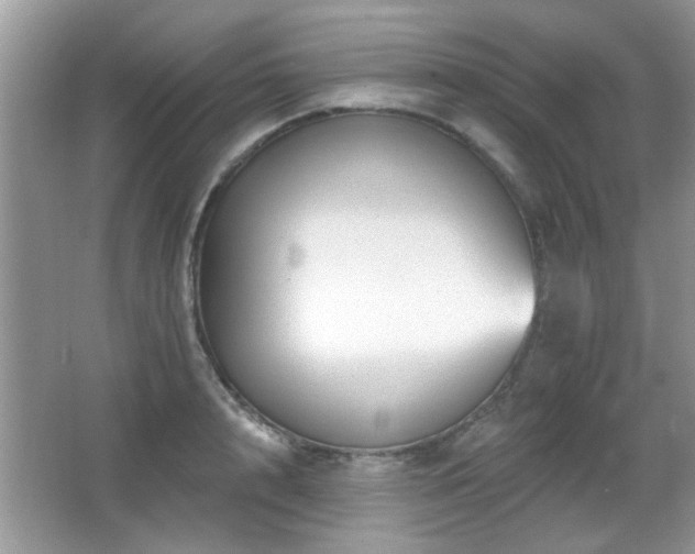 X0000065970848200603031126