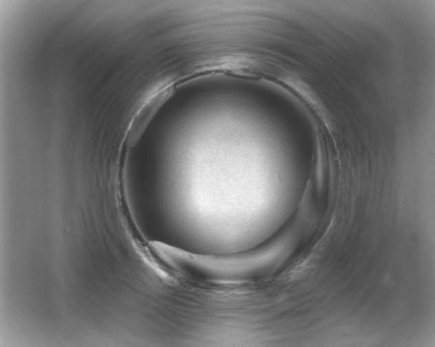 X0000065970850200603031126