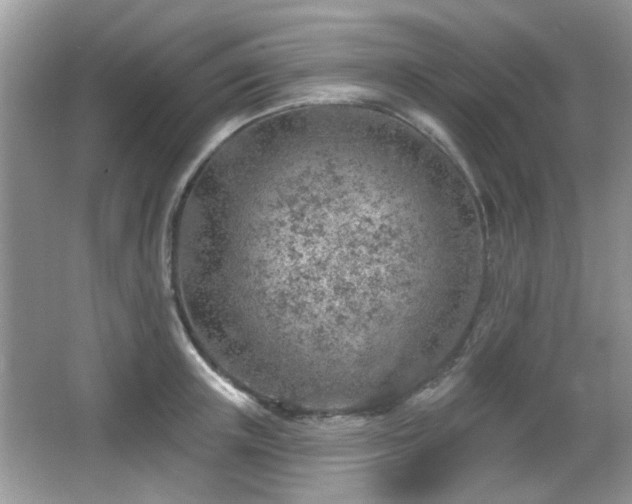 X0000065970851200603031126