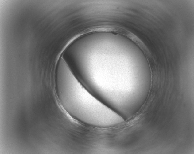 X0000065970852200603031127