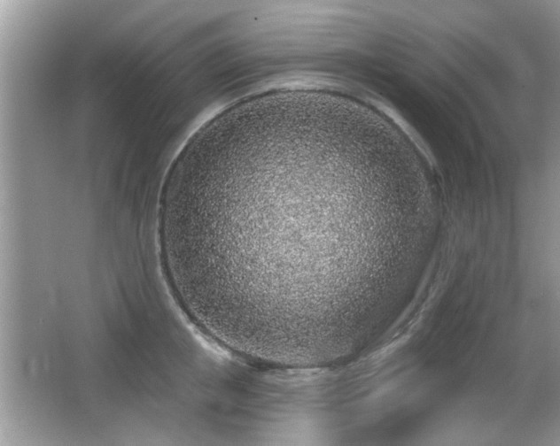 X0000065970853200603031127