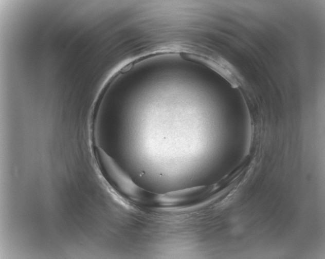 X0000065970854200603031127