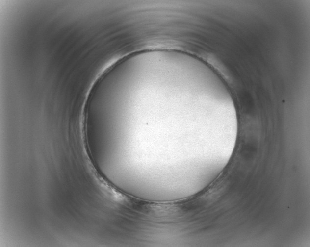 X0000065970856200603031127