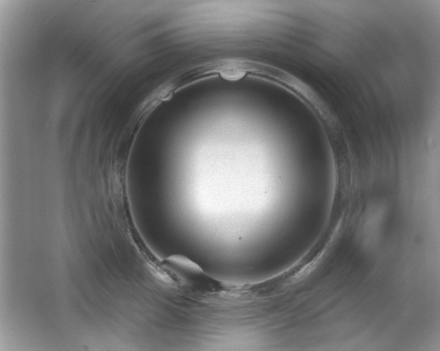 X0000065970857200603031127