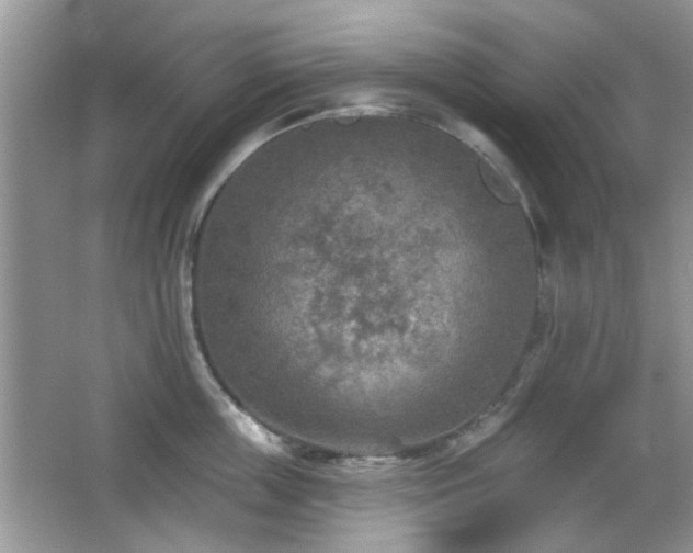 X0000065970859200603031127