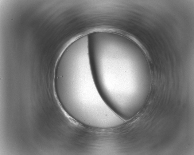 X0000065970861200603031127