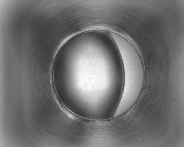 X0000065970862200603031127