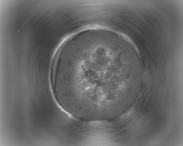 X0000065970863200603031127