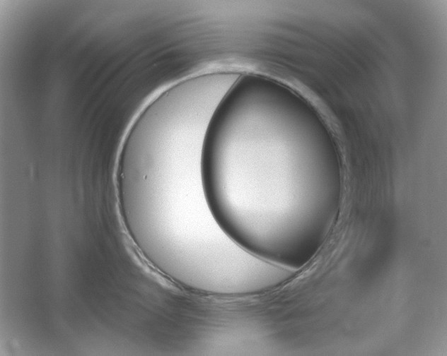 X0000065970864200603031127