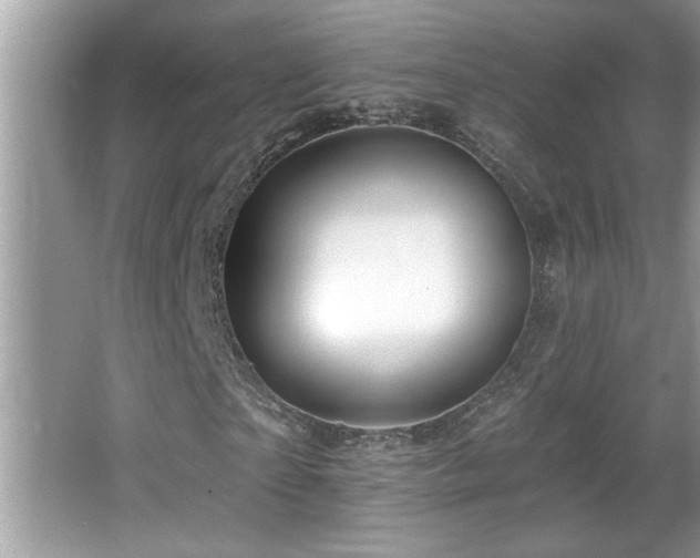 X0000065970865200603031126