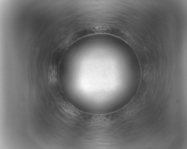 X0000065970866200603031126