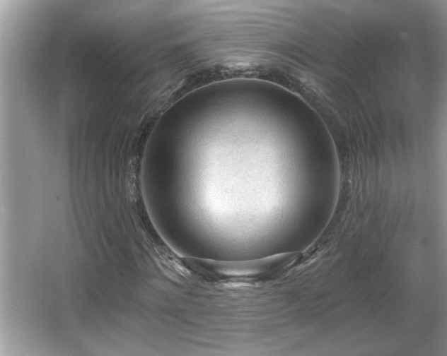 X0000065970868200603031126