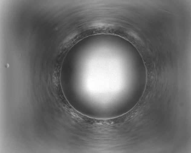 X0000065970869200603031126