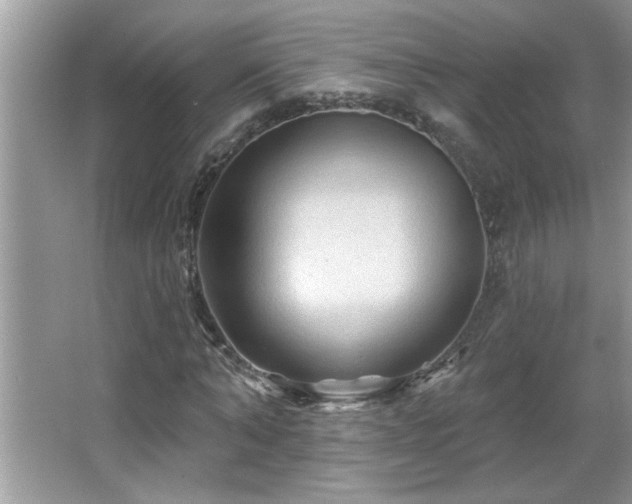 X0000065970870200603031126