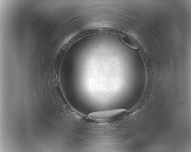 X0000065970871200603031126