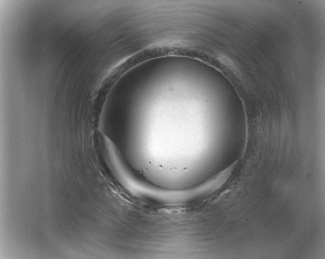 X0000065970872200603031126