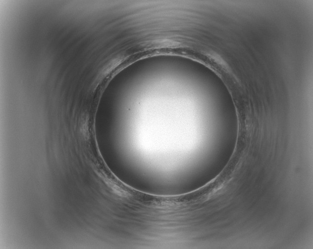 X0000065970873200603031126