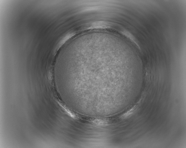 X0000065970874200603031126