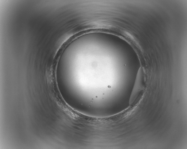 X0000065970875200603031126