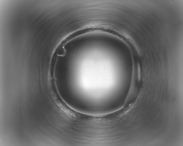 X0000065970880200603031126