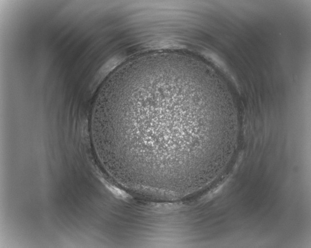 X0000065970881200603031126