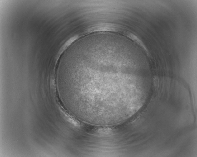 X0000065970882200603031126