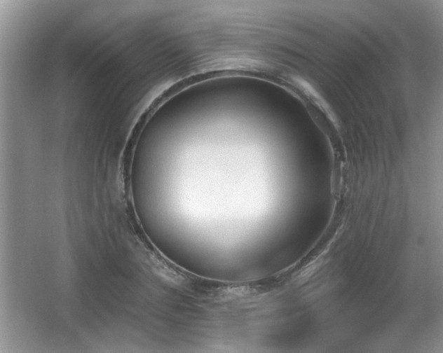 X0000065970883200603031126