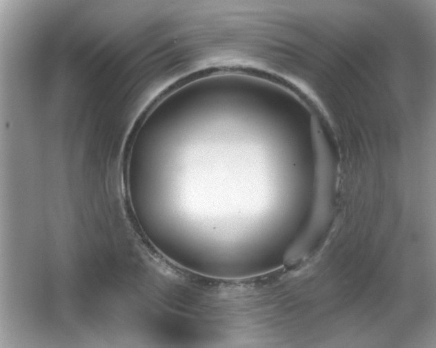 X0000065970887200603031126