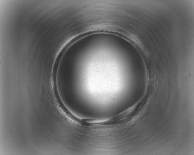 X0000065970888200603031126