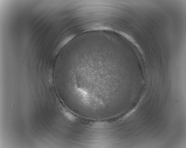 X0000065970889200603031126