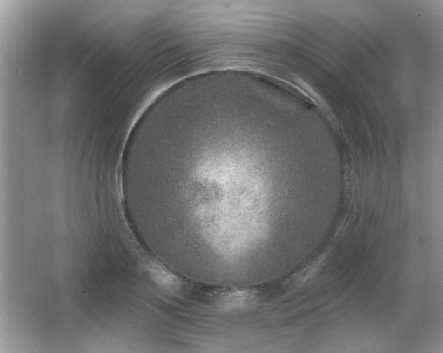 X0000065970891200603031125