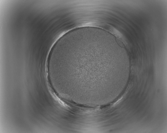 X0000065970892200603031125