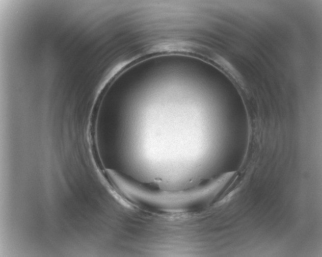 X0000065970893200603031125