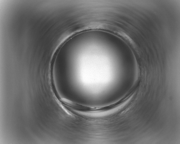 X0000065970894200603031125