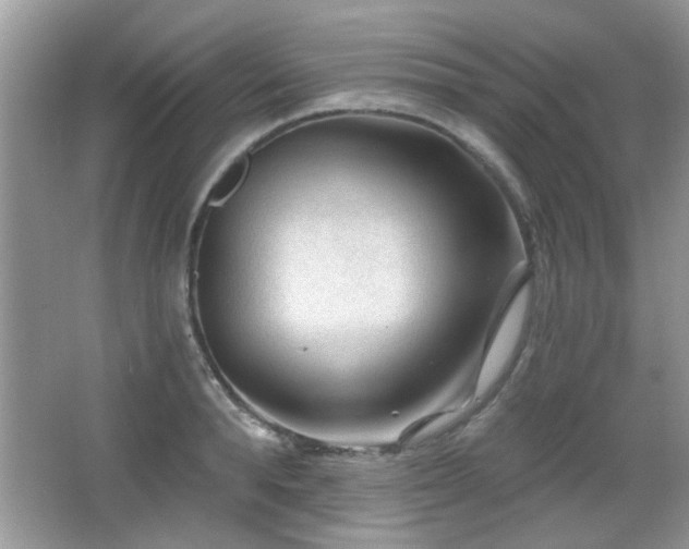 X0000065970896200603031125