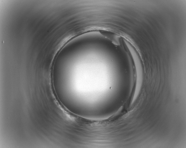 X0000065970898200603031125