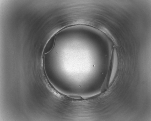 X0000065970900200603031125