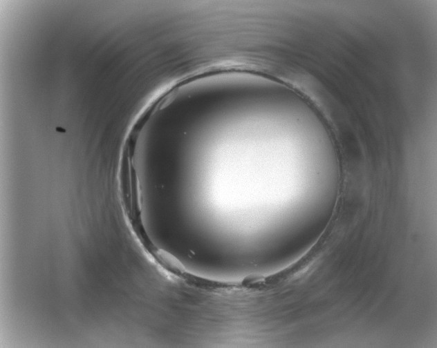 X0000065970902200603031125