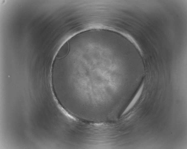 X0000065970903200603031125