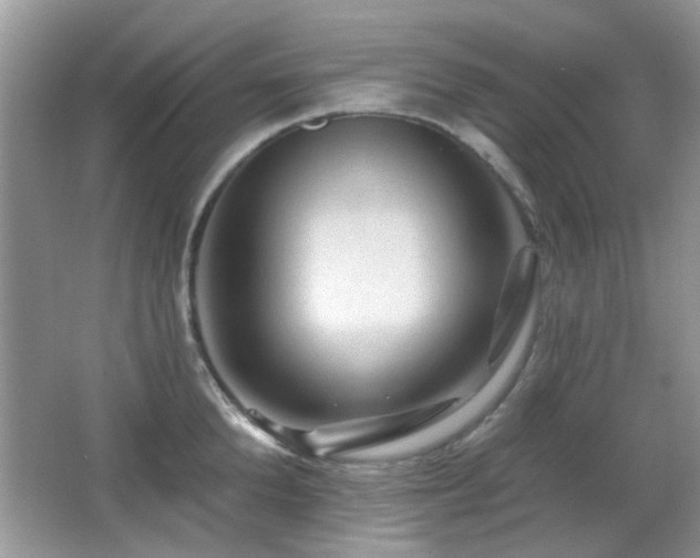 X0000065970904200603031125