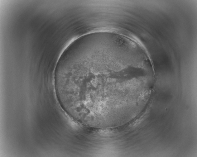 X0000065970907200603031125