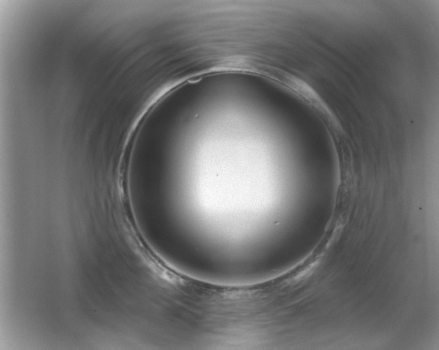 X0000065970908200603031125