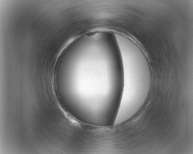 X0000065970909200603031125