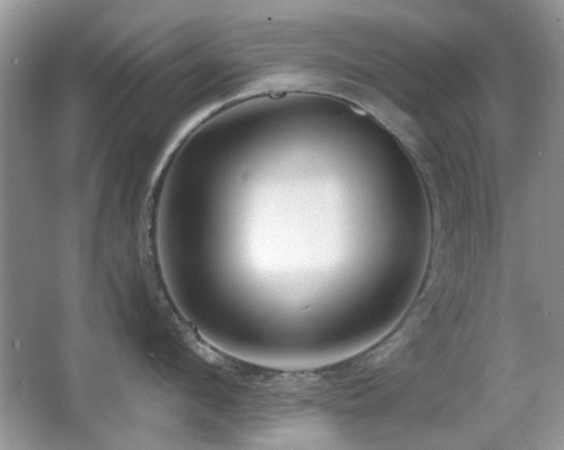 X0000065970912200603031125