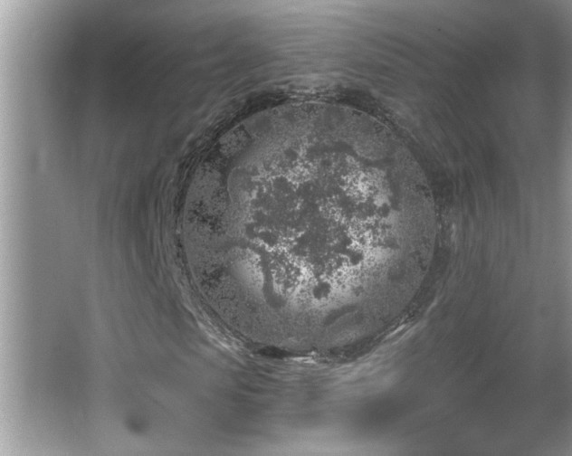 X0000065970913200603031124