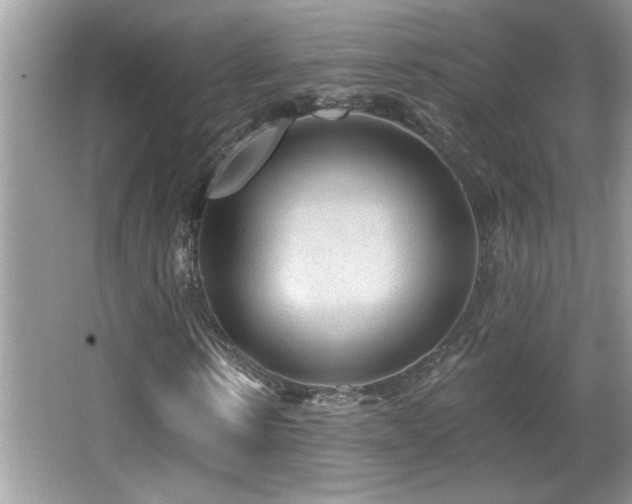 X0000065970914200603031124