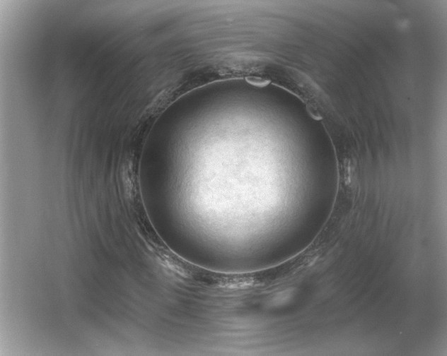 X0000065970915200603031124