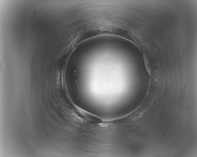 X0000065970916200603031124