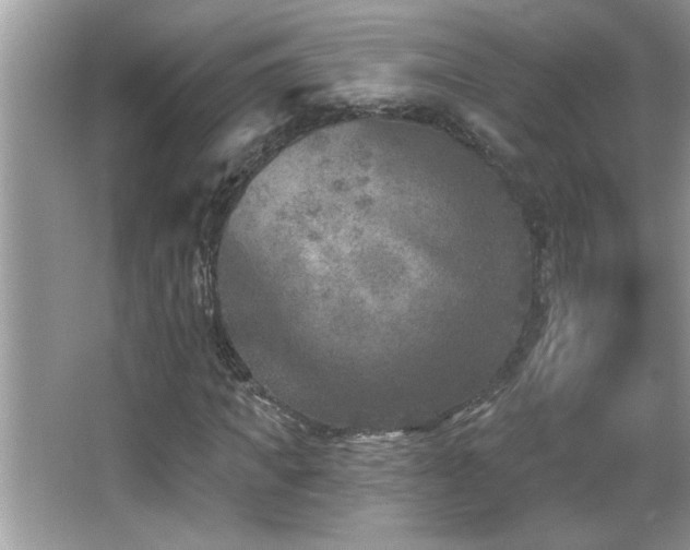 X0000065970917200603031124